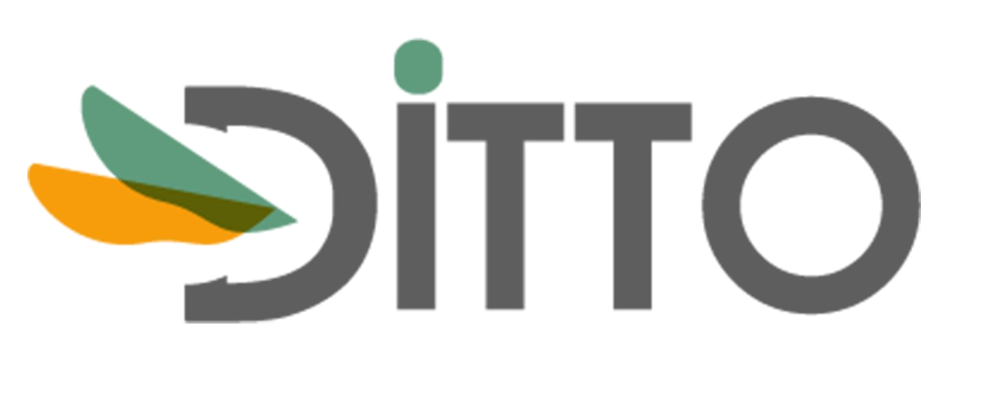 Ditto Enterprises
